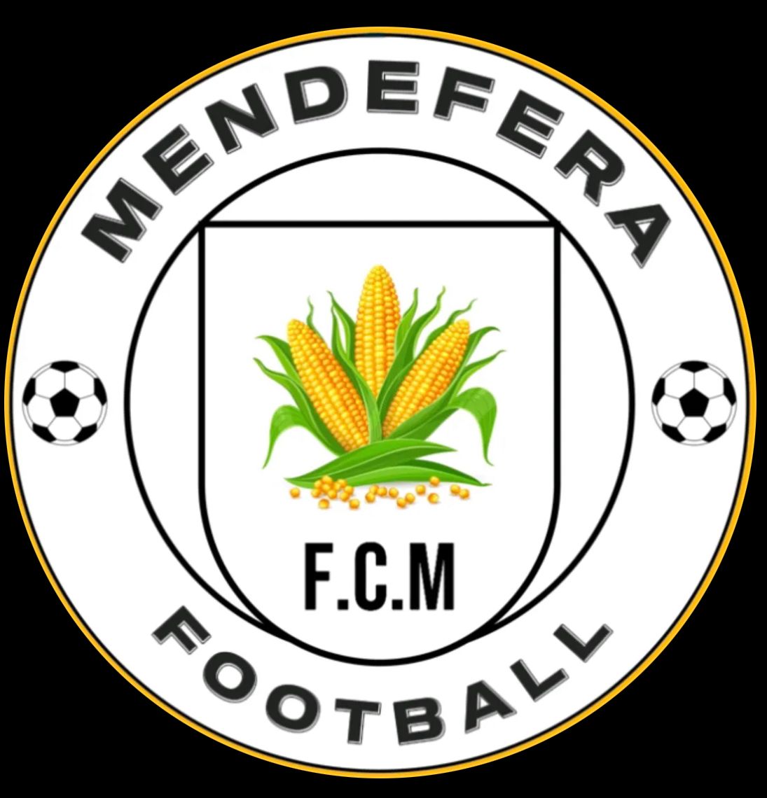 Mendefera